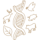 biodiversity_2_